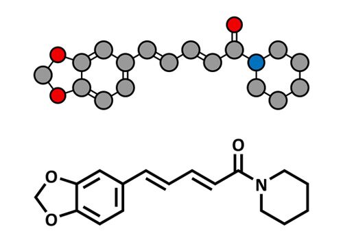 Bio-Enchacement